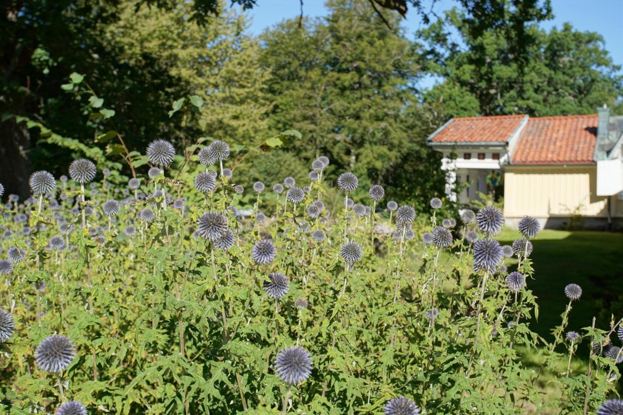 Skaerva Herrgard Karlskrona Exterior foto